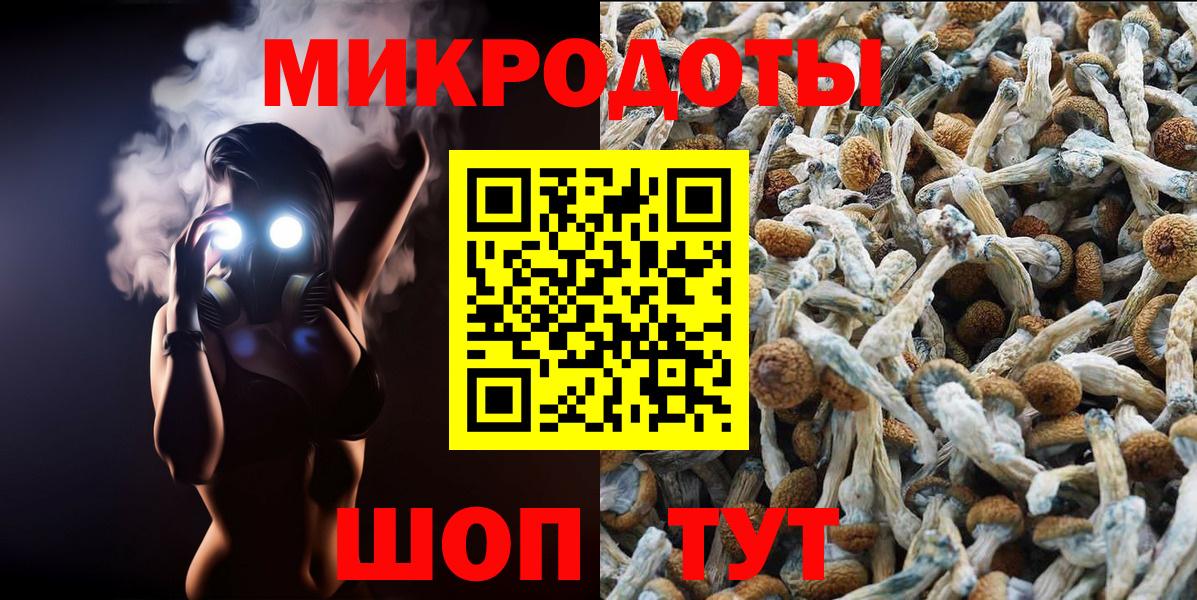 Псилоцибиновые грибы ЛСД Заволжье